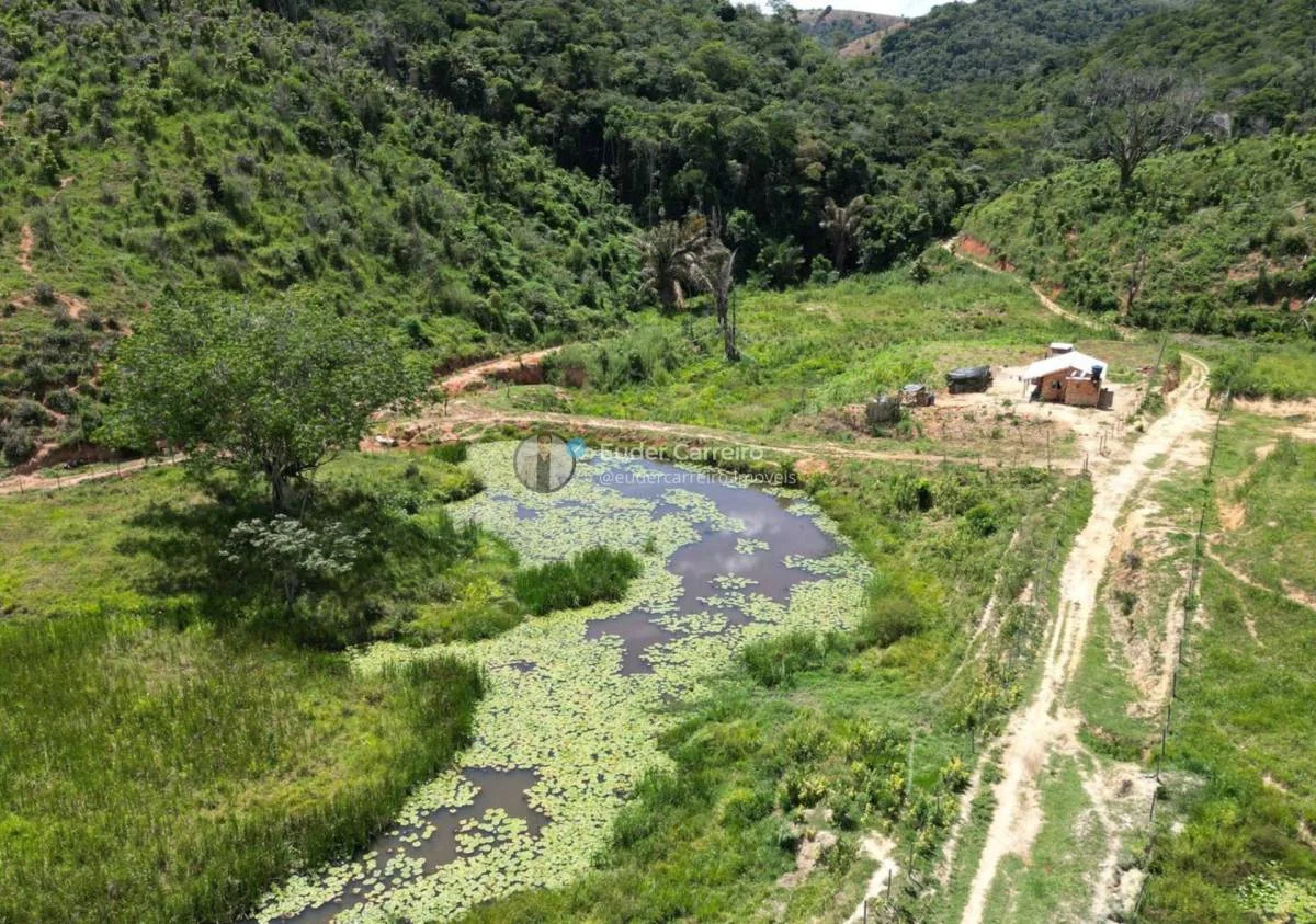 Terreno de café para Gado e Café com 18 alq - Tabajara, Inhapim
