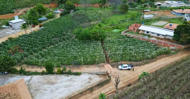 Chácara com 1.035m2 e Plana - Córrego Boa Sorte, Inhapim